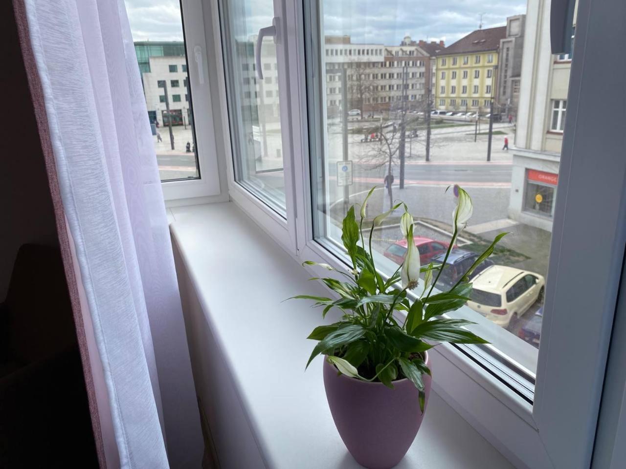 Appartement Perla Hradce 202 à Hradec Králové Extérieur photo
