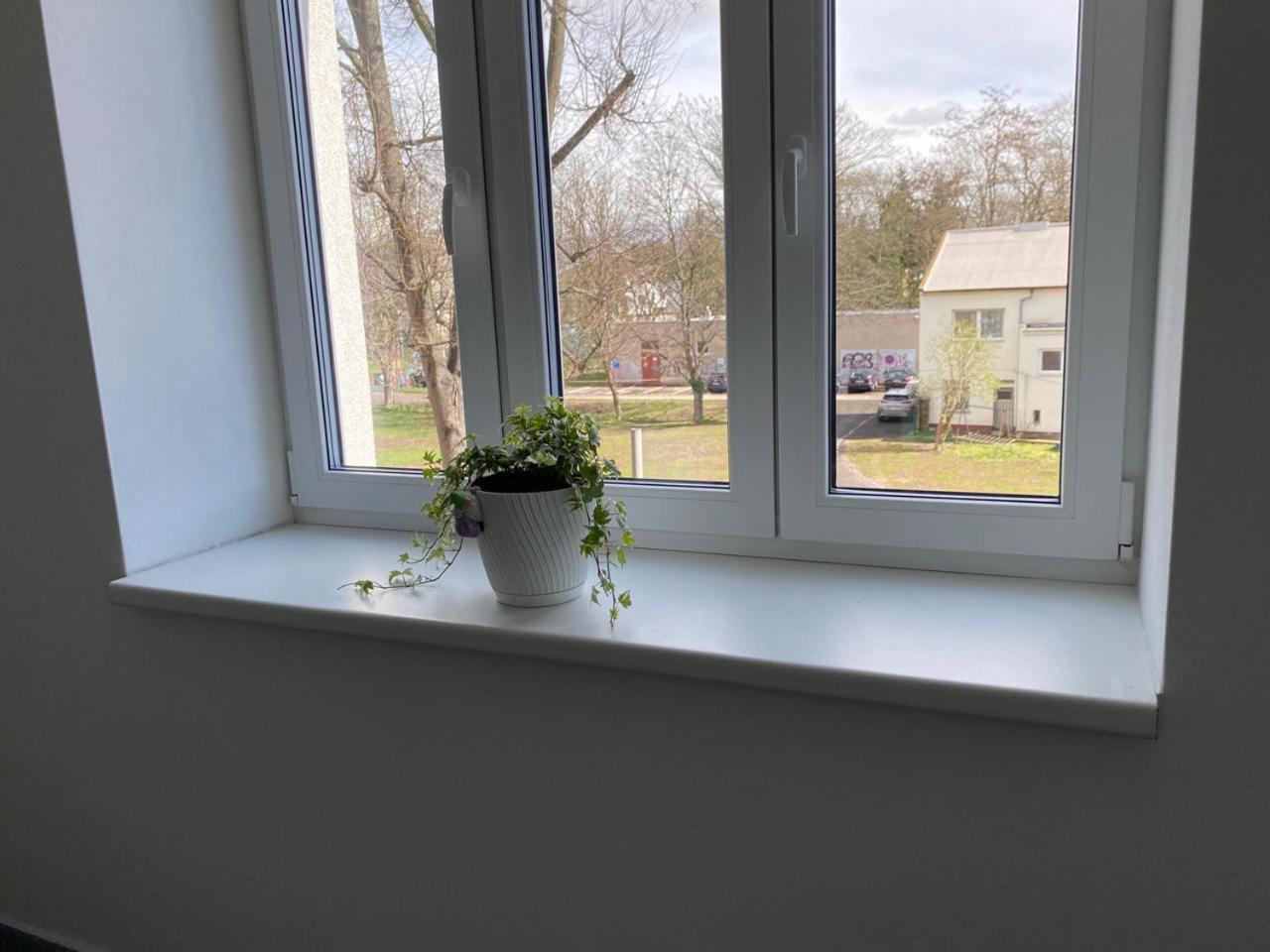 Appartement Perla Hradce 202 à Hradec Králové Extérieur photo